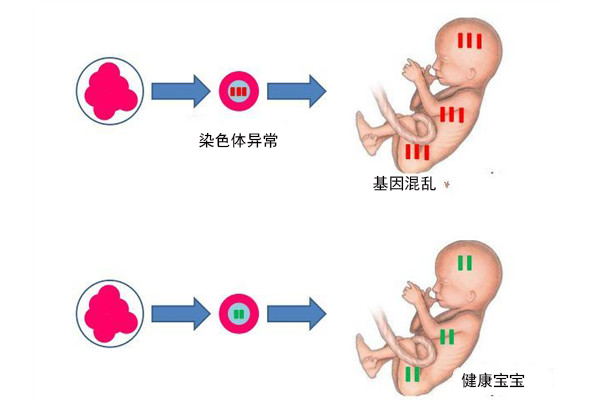 大卫验孕试纸